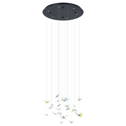 Eglo - LED aptumšojama lustra uz kabeļa 6xLED/4,2W/230V melna/caurspīdīga