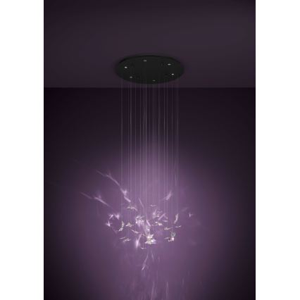 Eglo - LED aptumšojama lustra uz kabeļa 6xLED/4,2W/230V melna/caurspīdīga