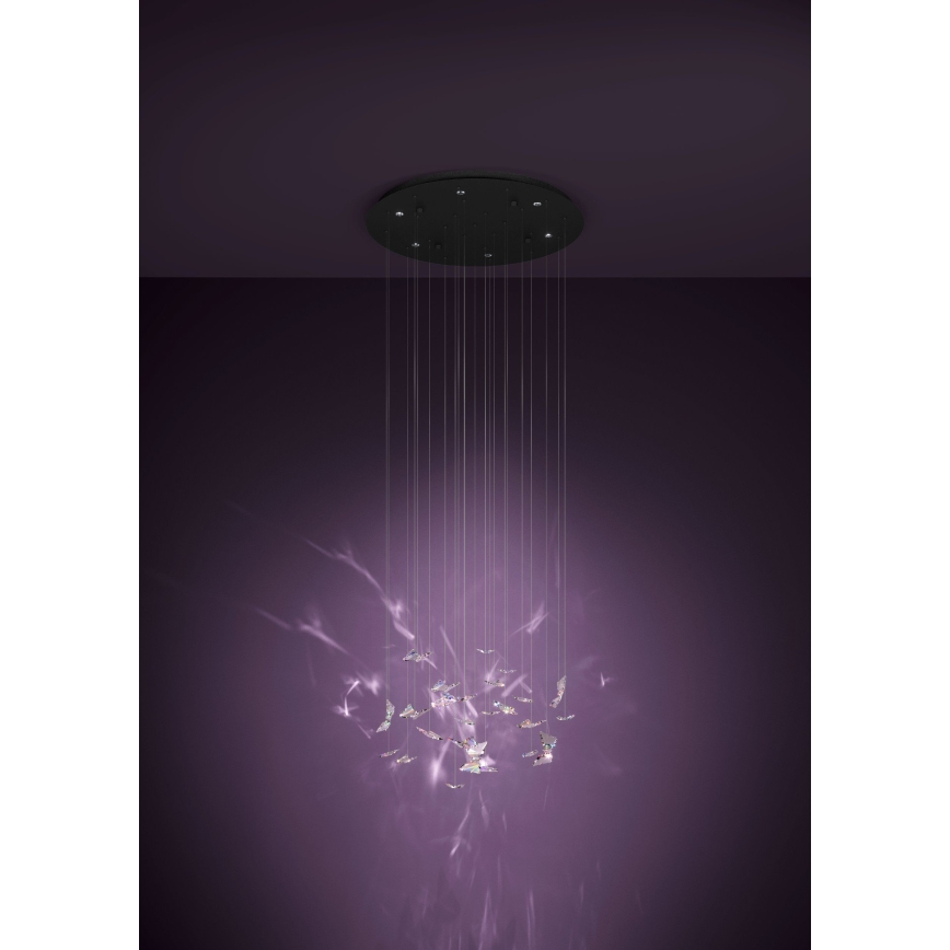 Eglo - LED aptumšojama lustra uz kabeļa 6xLED/4,2W/230V melna/caurspīdīga