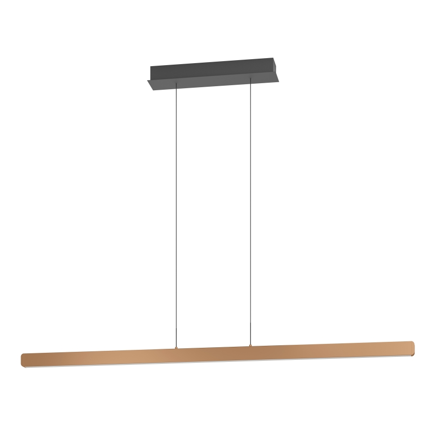 Eglo Stars of Light - LED regulējama lustra uz troses LED/30W/230V 2200-6500K zelta krāsa + tālvadības pults