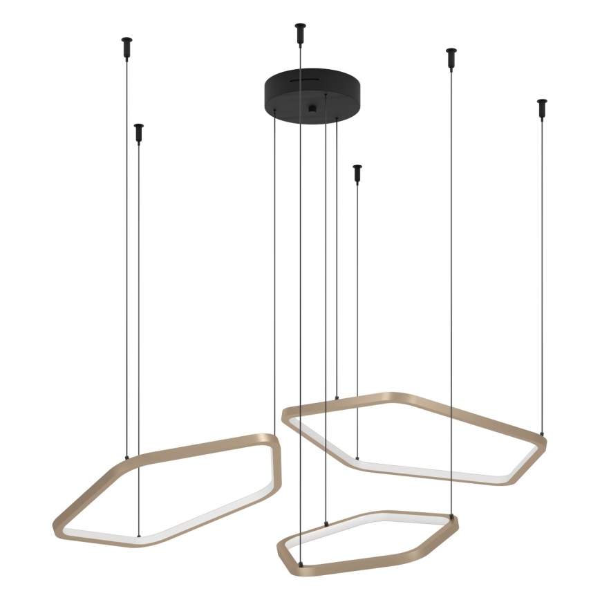 Eglo - regulējama LED lustra uz troses LED/50W/230V 2200-6500K misiņš + tālvadības pults