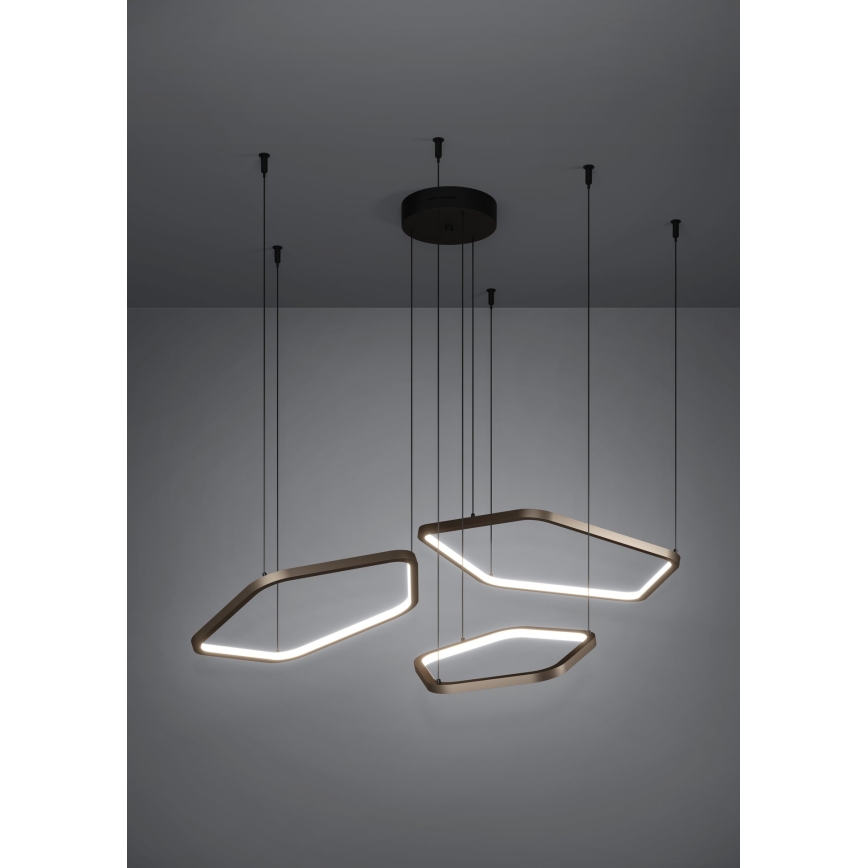 Eglo - regulējama LED lustra uz troses LED/50W/230V 2200-6500K misiņš + tālvadības pults