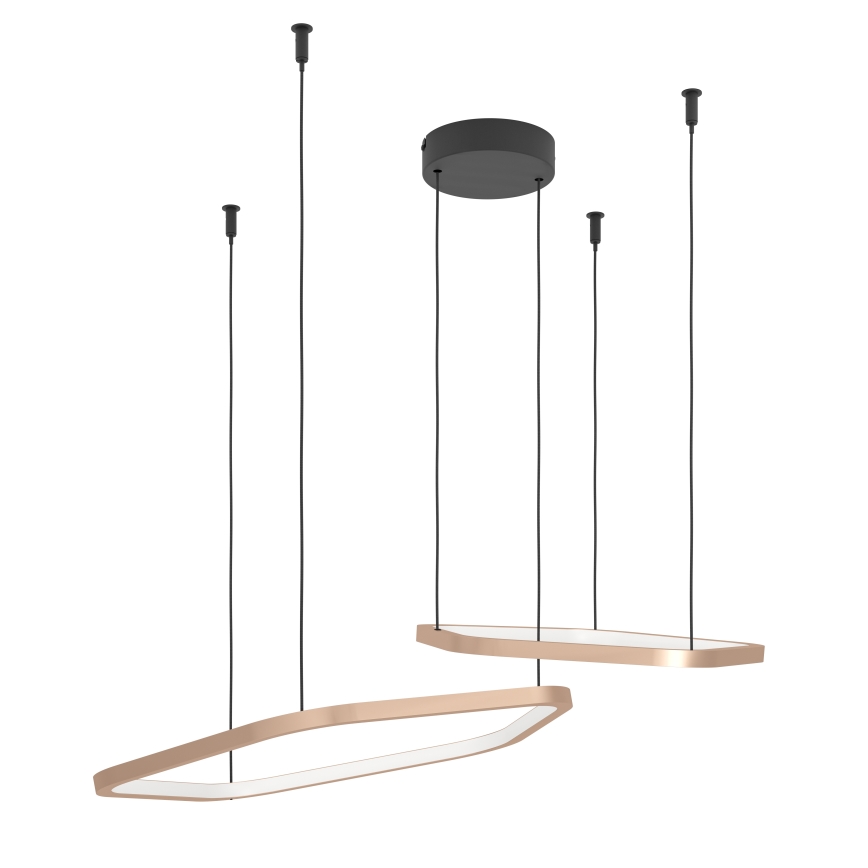 Eglo - LED regulējama lustra uz troses LED/30W/230V 2200-6500K misiņš + tālvadība