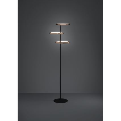Eglo - regulējama LED grīdas lampa LED/20W/230V 2200-6500K misiņš