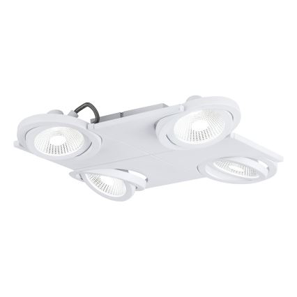 Eglo 39136 - LED lampa BREA 4xLED/5W/230V/12V