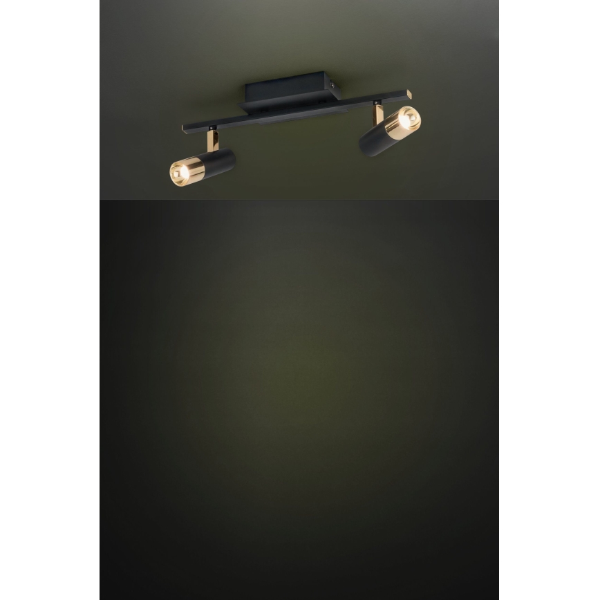 Eglo - LED lampa 2xLED/5W/230V/12V