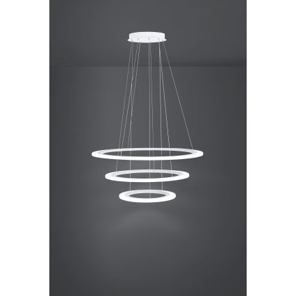 Eglo - LED Aptumšojama lustra ar auklu 1xLED/45W/230V + 1xLED/33W + 1xLED/19,5W