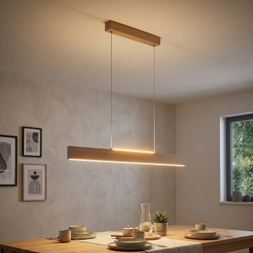 Eglo 39344 - LED lustra uz troses CLIMENE LED/17W/230V + LED/4,2W ozols