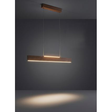 Eglo - LED pakaramā lustra uz troses LED/17W/230V + LED/4,2W valrieksts