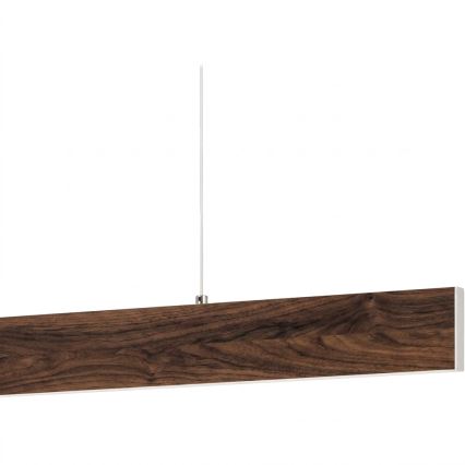 Eglo - LED pakaramā lustra uz troses LED/17W/230V + LED/4,2W valrieksts