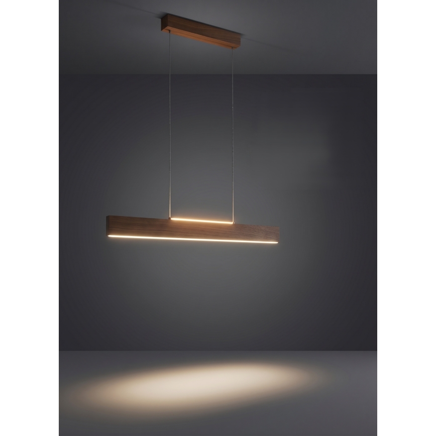 Eglo - LED regulējama lustra uz troses LED/21W/230V + LED/8,4W valrieksts