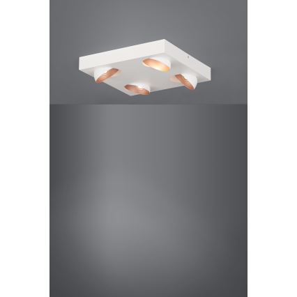 Eglo - LED Aptumšojama griestu lampa 4xLED/3,3W/230V
