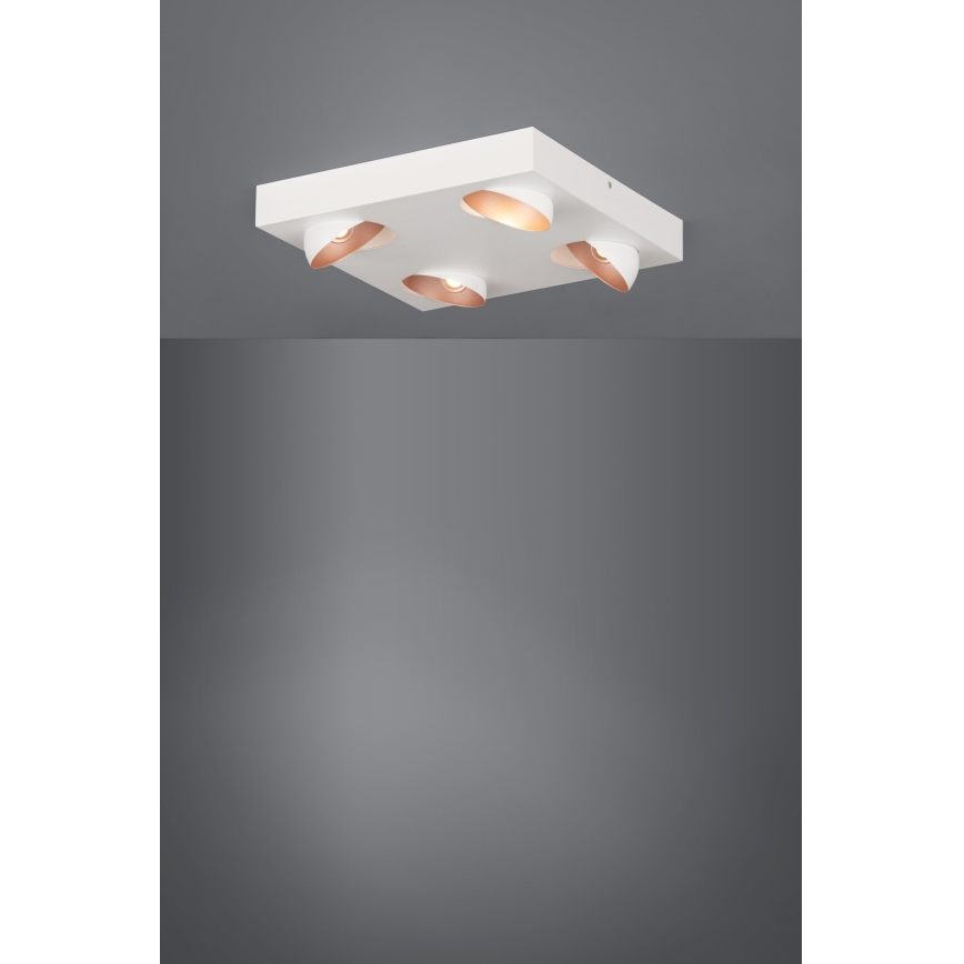 Eglo - LED Aptumšojama griestu lampa 4xLED/3,3W/230V