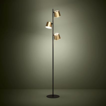 Eglo - LED Grīdas stāvlampa 3xGU10/4,6W/230V 3000K zelta