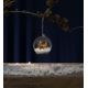 Eglo - LED Ziemassvetku dekorācija FAUNA 1xLED/0,06W/1xCR2032 brūna