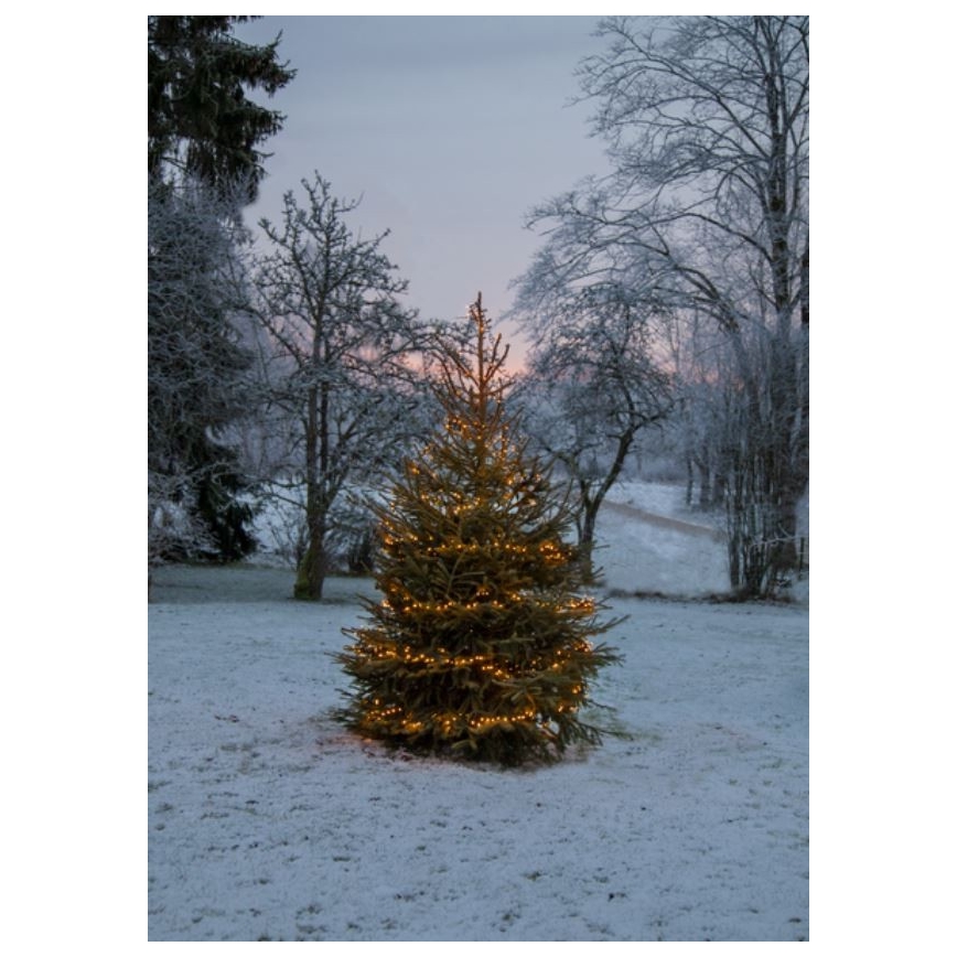 Eglo - LED Āra Ziemassvētku virtene 1200xLED 24m IP44 silti balta