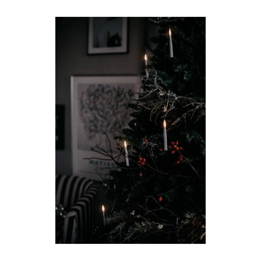 Eglo - Ziemassvētku eglīte 250 cm egle