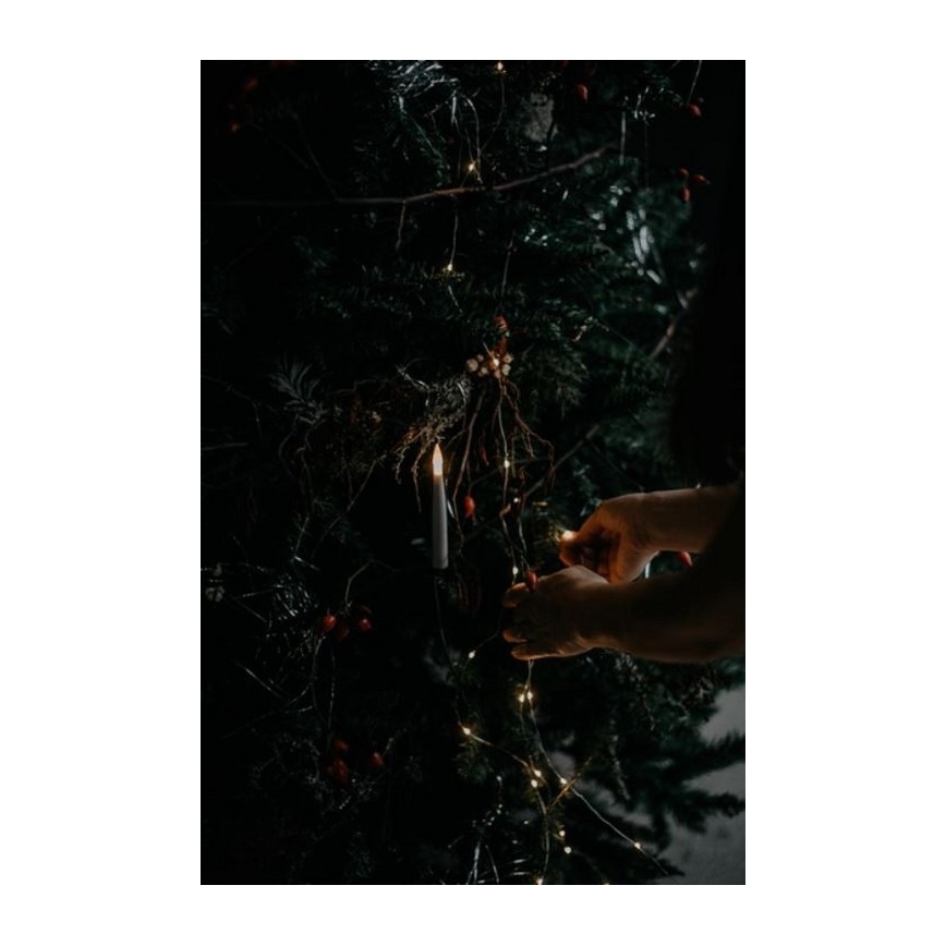 Eglo - Ziemassvētku eglīte 250 cm egle