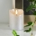 Eglo 411502 - LED Svece FLAMME RUSTIC LED/2xAA sudraba