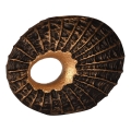 Eglo 421586 - SAKTI dekorācija, 29x40 cm, bronzas krāsā