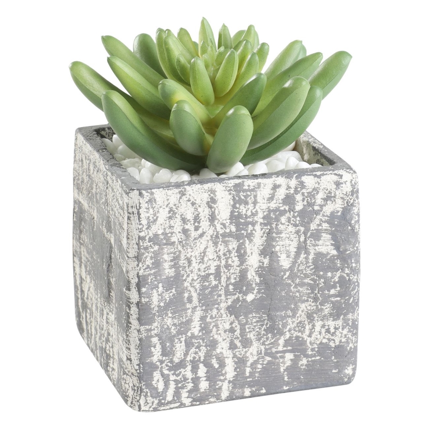 Eglo - Mākslīgais augs puķupodā 12x7,5 cm sukulents