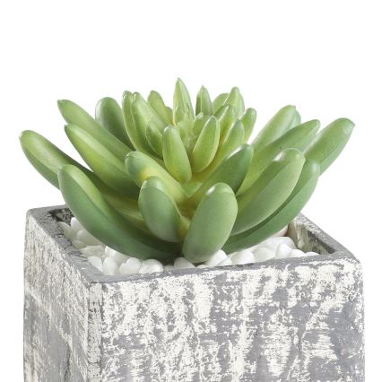 Eglo - Mākslīgais augs puķupodā 12x7,5 cm sukulents