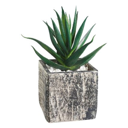 Eglo - Mākslīgais augs puķupodā 13x9,5 cm sukulents