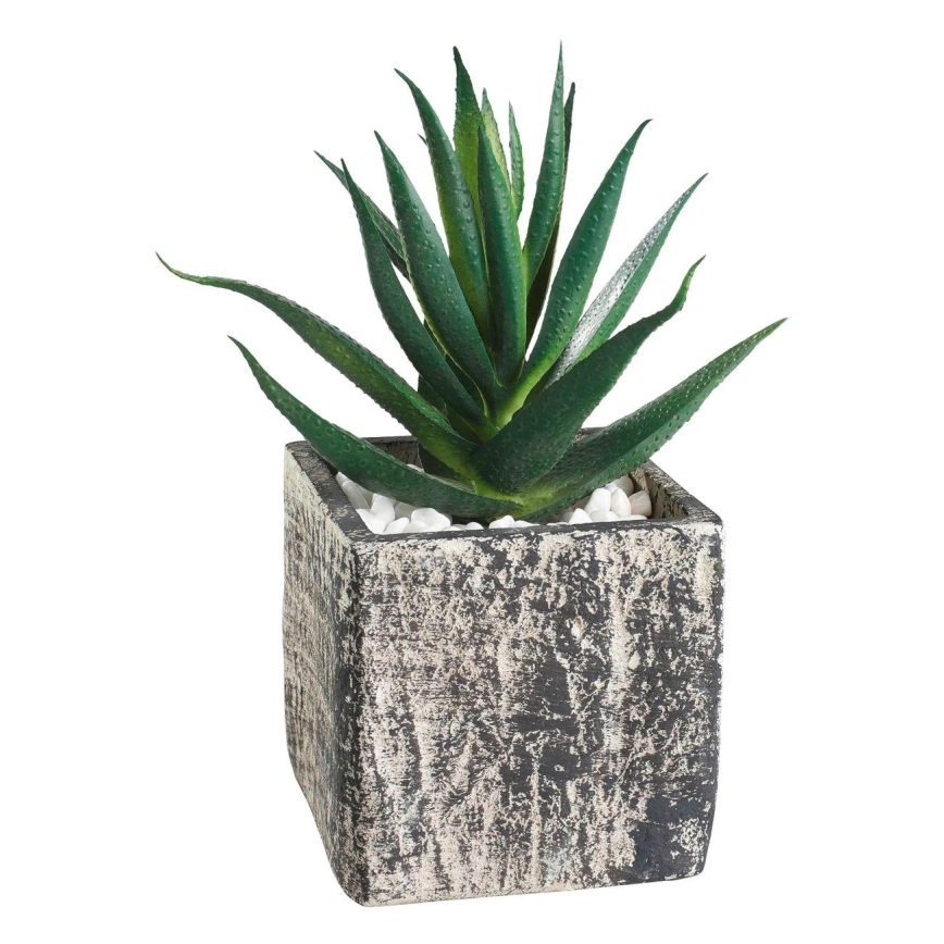 Eglo - Mākslīgais augs puķupodā 13x9,5 cm sukulents