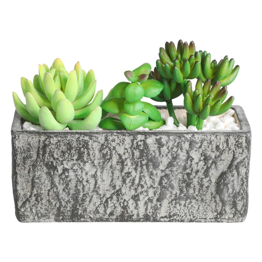Eglo - Mākslīgais augs puķupodā 14,5x17,8 cm sukulents