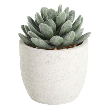 Eglo - Mākslīgais augs puķupodā 11x8 cm sukulents