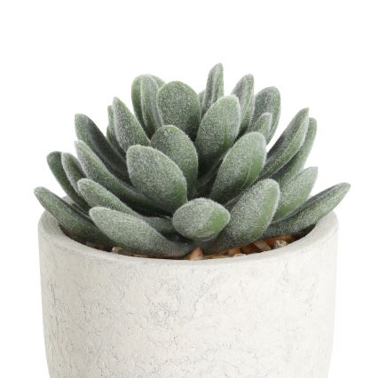 Eglo - Mākslīgais augs puķupodā 11x8 cm sukulents