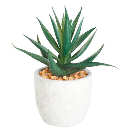 Eglo - Mākslīgais augs puķupodā 15,5x10 cm sukulents