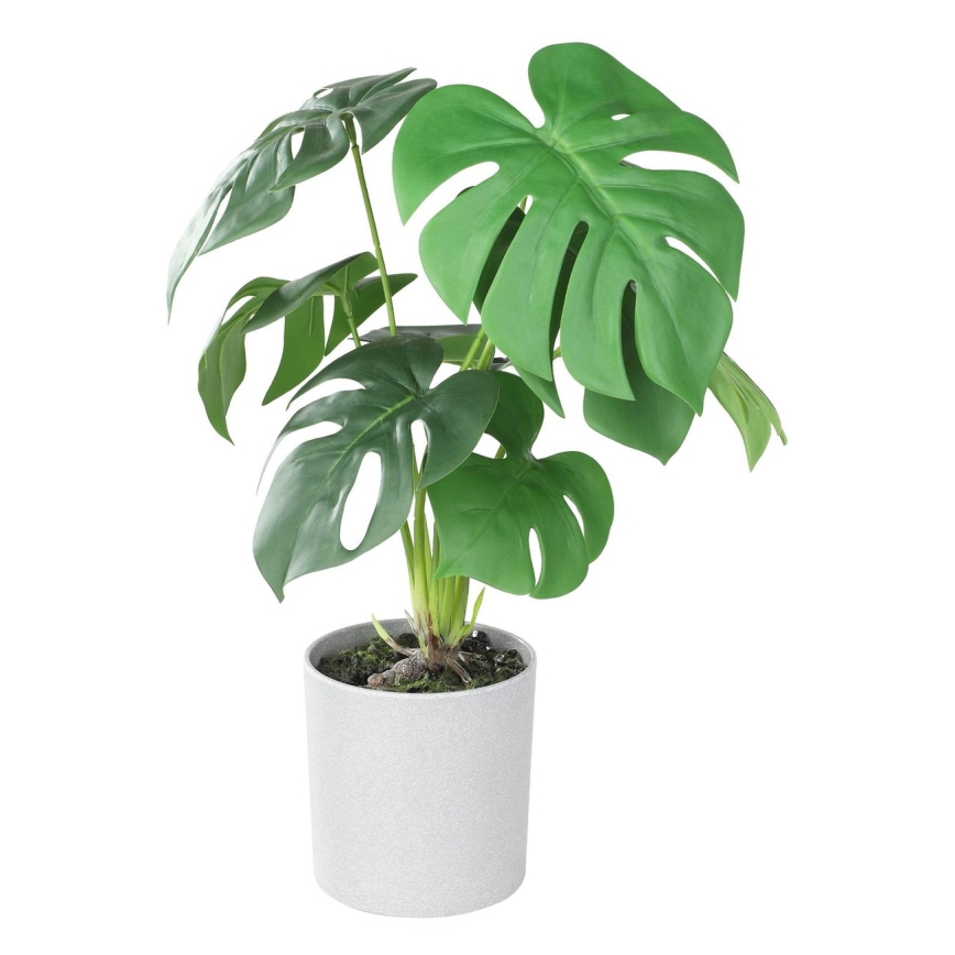 Eglo - Mākslīgais augs puķupodā 42x30 cm monstera