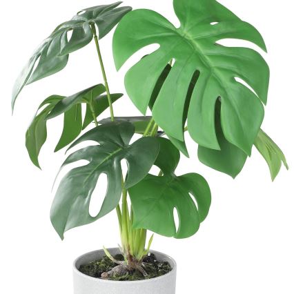 Eglo - Mākslīgais augs puķupodā 42x30 cm monstera