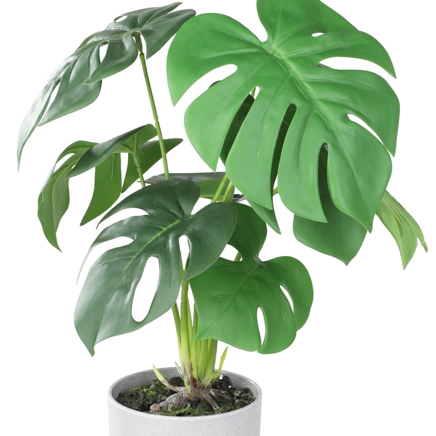 Eglo - Mākslīgais augs puķupodā 42x30 cm monstera