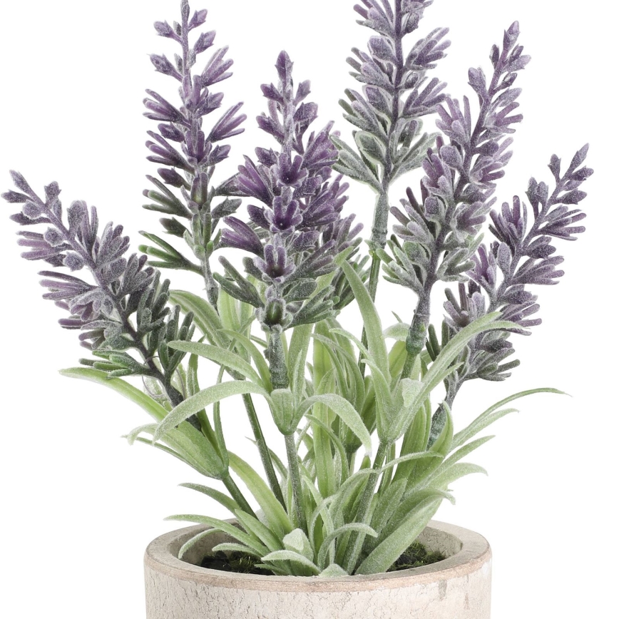 Eglo - Mākslīgais augs puķupodā 22x8 cm lavanda