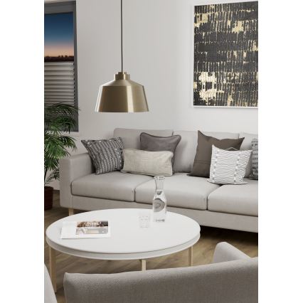 Eglo - Lustra ar auklu 1xE27/40W/230V