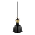 Eglo 49693 - Lustra GILWELL 1xE27/60W