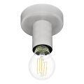 Eglo 64106 - Griestu lampa IGUALA 1xE27/40W/230V pelēka