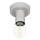 Eglo 64106 - Griestu lampa IGUALA 1xE27/40W/230V pelēka