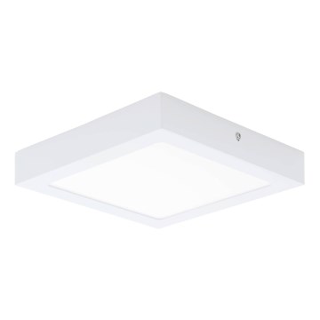 Eglo 64717 - LED Griestu lampa FUEVA PRO LED/19W/230V 3000K 22,5x22,5 cm balta