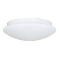 Eglo 68317 - Vannas istabas griestu lampa ELLA PROJEKT 1xE27/20W/230V IP44 Ø 30 cm