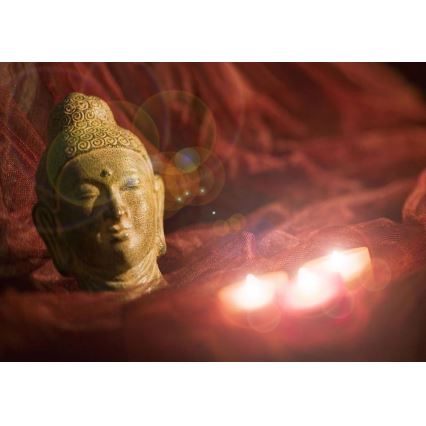 Eglo 75039 - LED Spīdošs dekoratīvs attēls BUDDHA 3xLED/0,02W/2xAA 30x45 cm