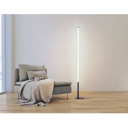 Eglo - LED Aptumšojama grīdas lampa LED/14W/230V 2700-6500K + tālvadības pults