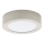Eglo 78213 - LED Griestu lampa FUEVA LED/10,9W/230V