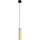 Eglo 79342 - Lustra ar auklu PINTO GOLD 1xE27/40W/230V zelta