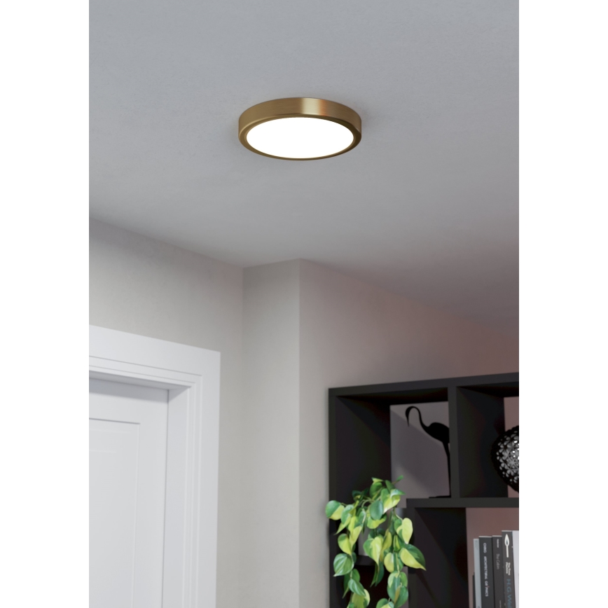 Eglo - LED Griestu lampa LED/17W/230V d. 21 cm