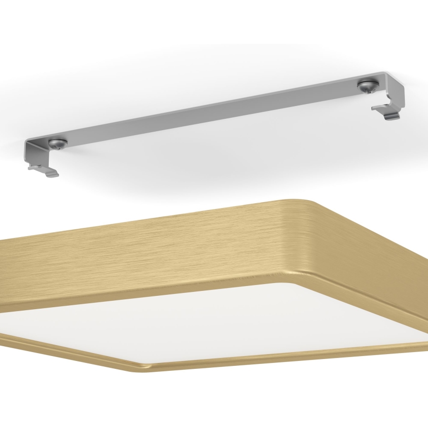 Eglo - LED Griestu lampa LED/17W/230V