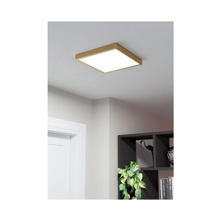 Eglo - LED Griestu lampa LED/20,5W/230V