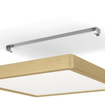 Eglo - LED Griestu lampa LED/20,5W/230V